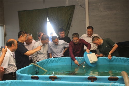 智能化養殖裝備與智慧管理平臺開發成果通過驗收，助推海水養殖技術研發升級